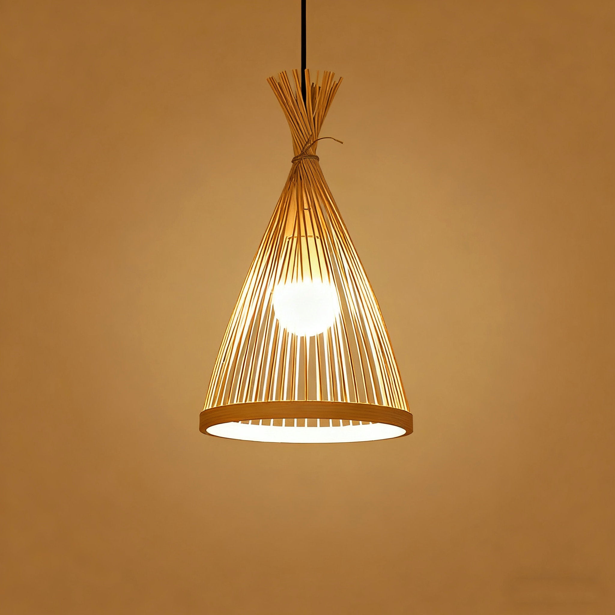 Money Bag-Shaped Pendant Light